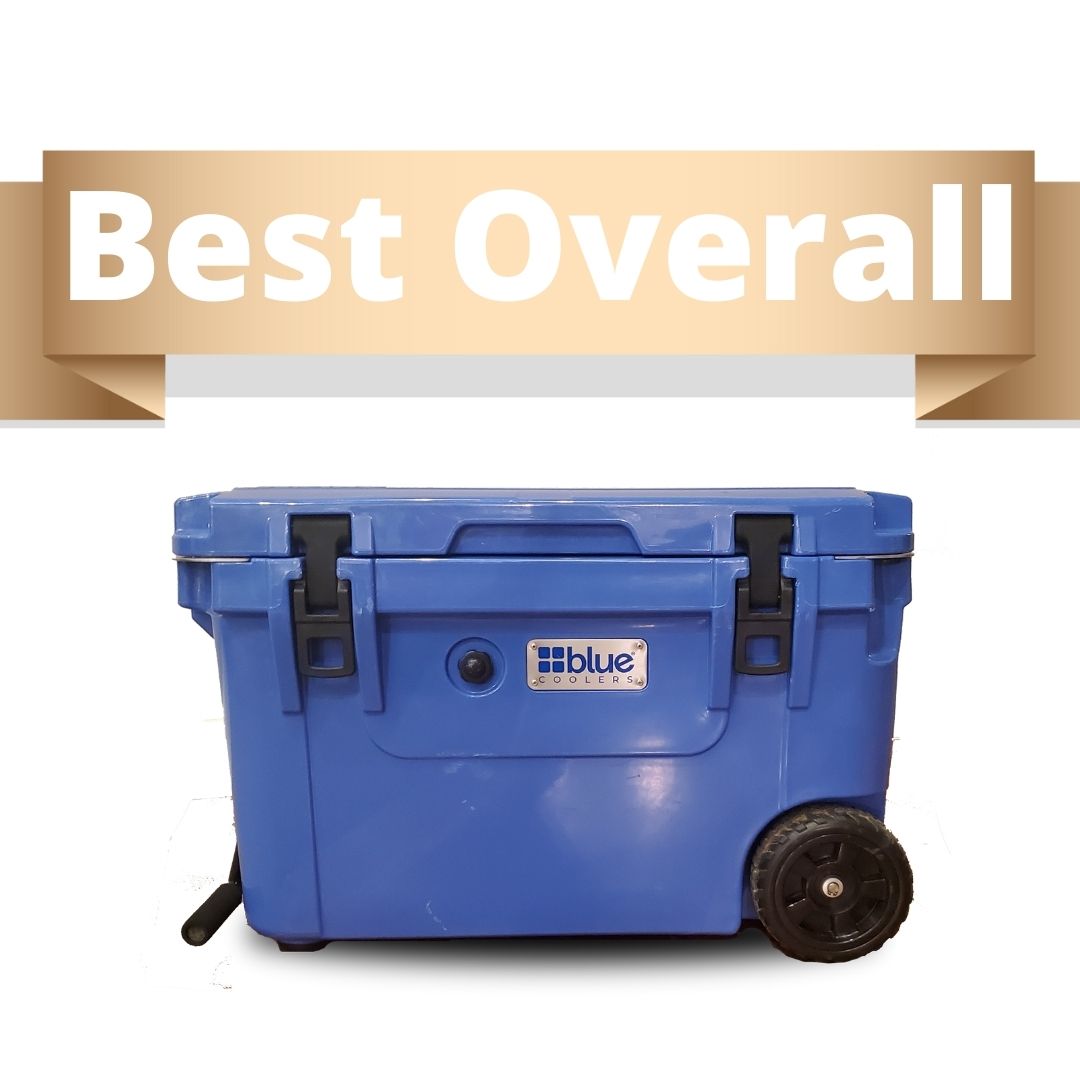 Ranked #1 on Buyersguide.org